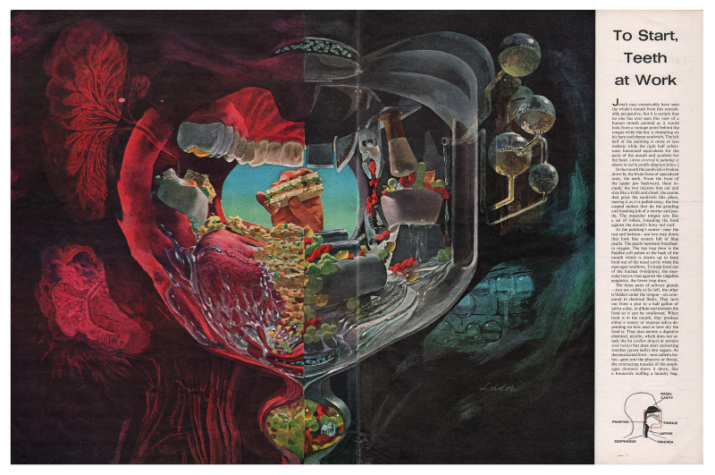 Illustration for article titled These medical illustrations are surrealist masterpieces